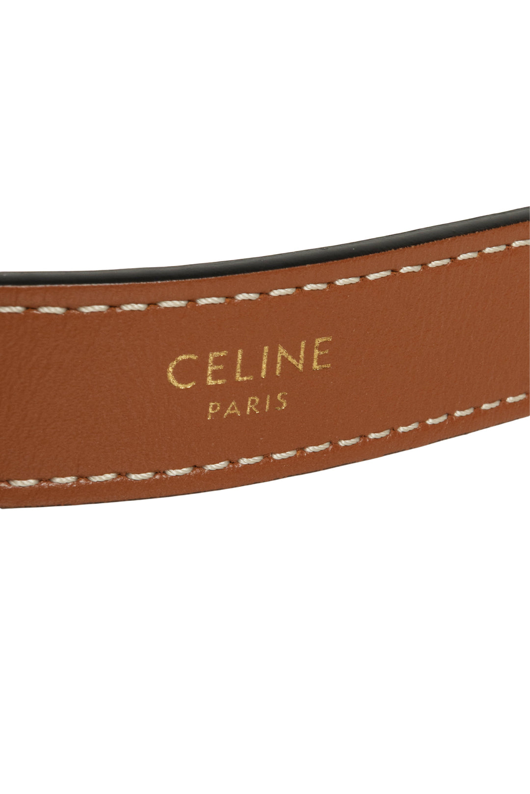 Celine Ava Bag in Triomphe Canvas & Calfskin