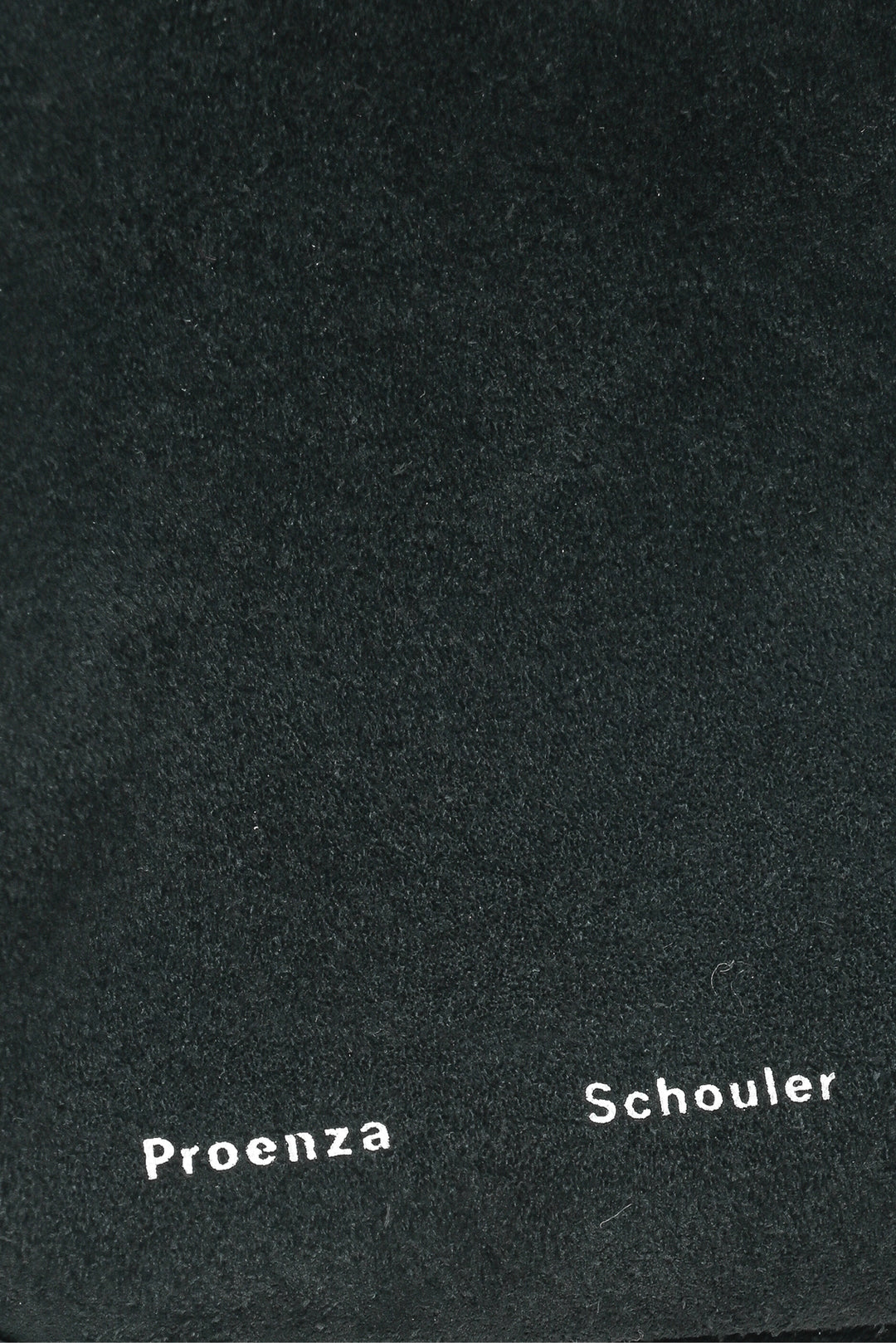 Proenza Schouler White Label Suede Watts Camera Bag