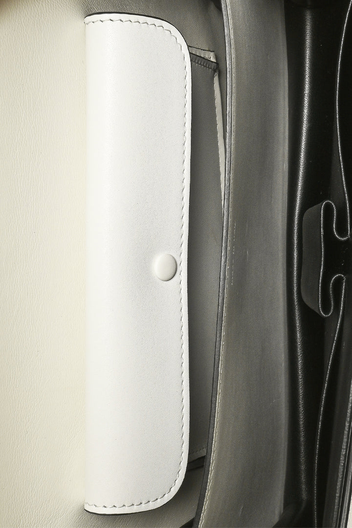 Celine Medium Classic Box Case Flap Bag