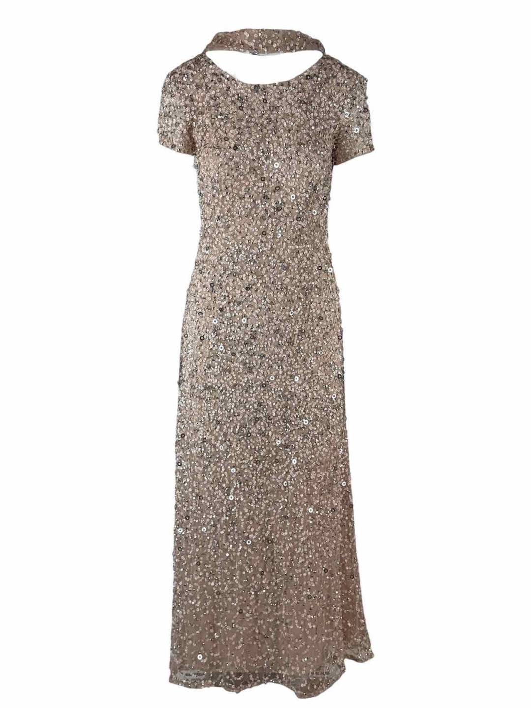 Adrianna Papell Size 6 Sequin Maxi Dress