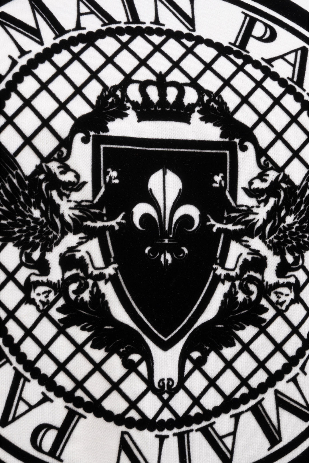 Balmain Size 10 Flocked Coin Sweatshirt