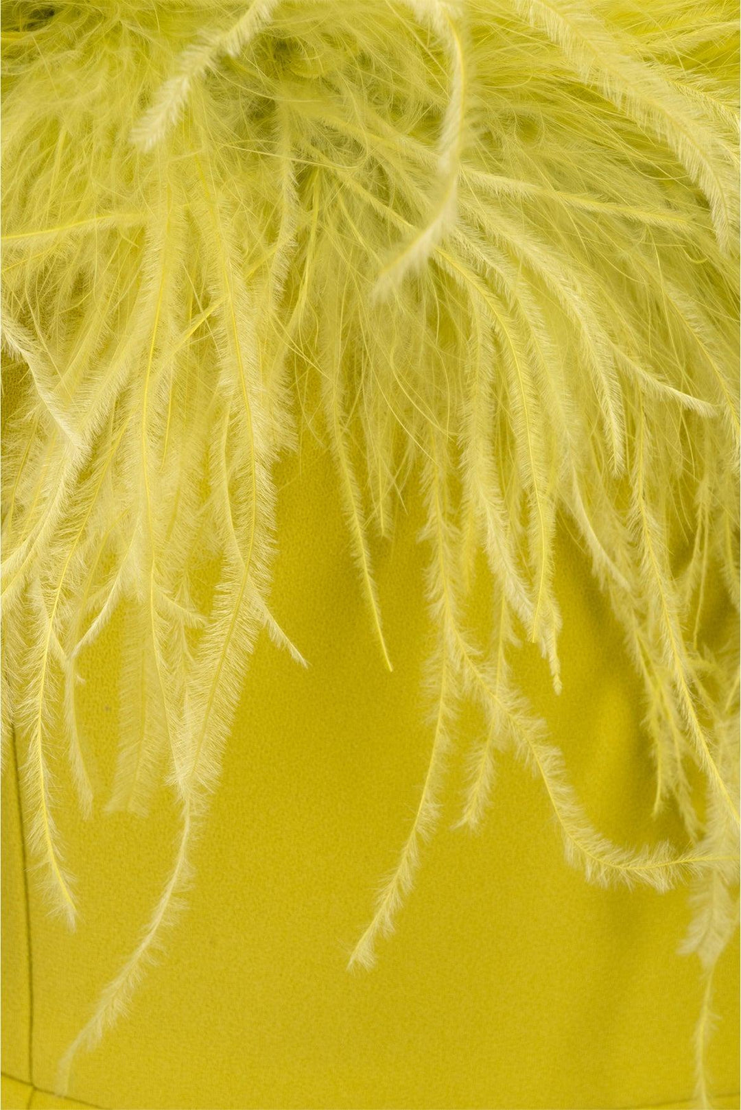 New Arrivals Size 6 Cynthia Ostrich Feather Trim Dress