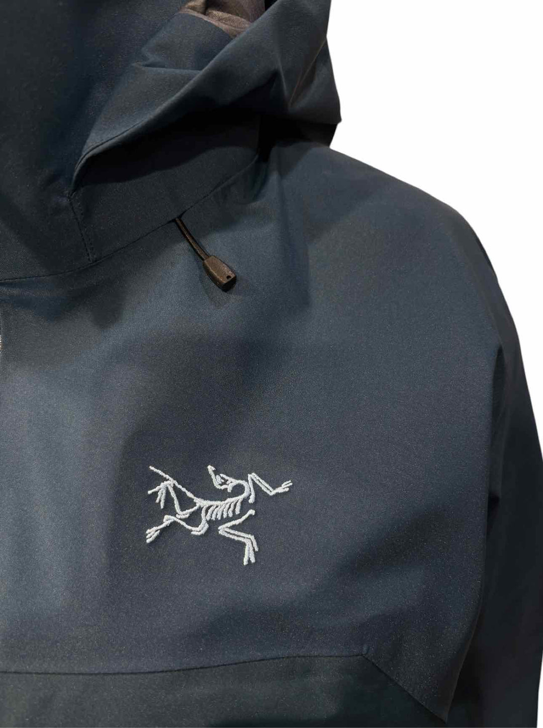 Arc'teryx Size M Beta AR Hooded Jacket