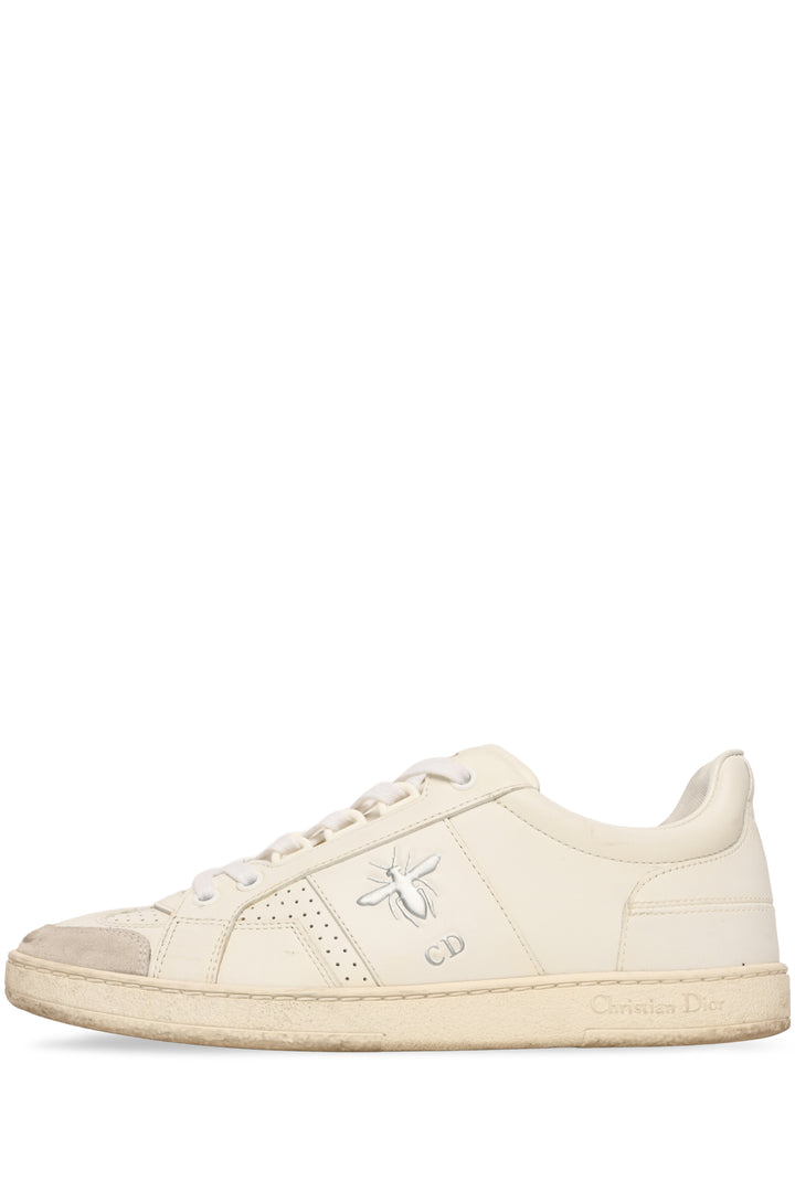 Dior Size 36.5 D-Bee Low Top Sneaker