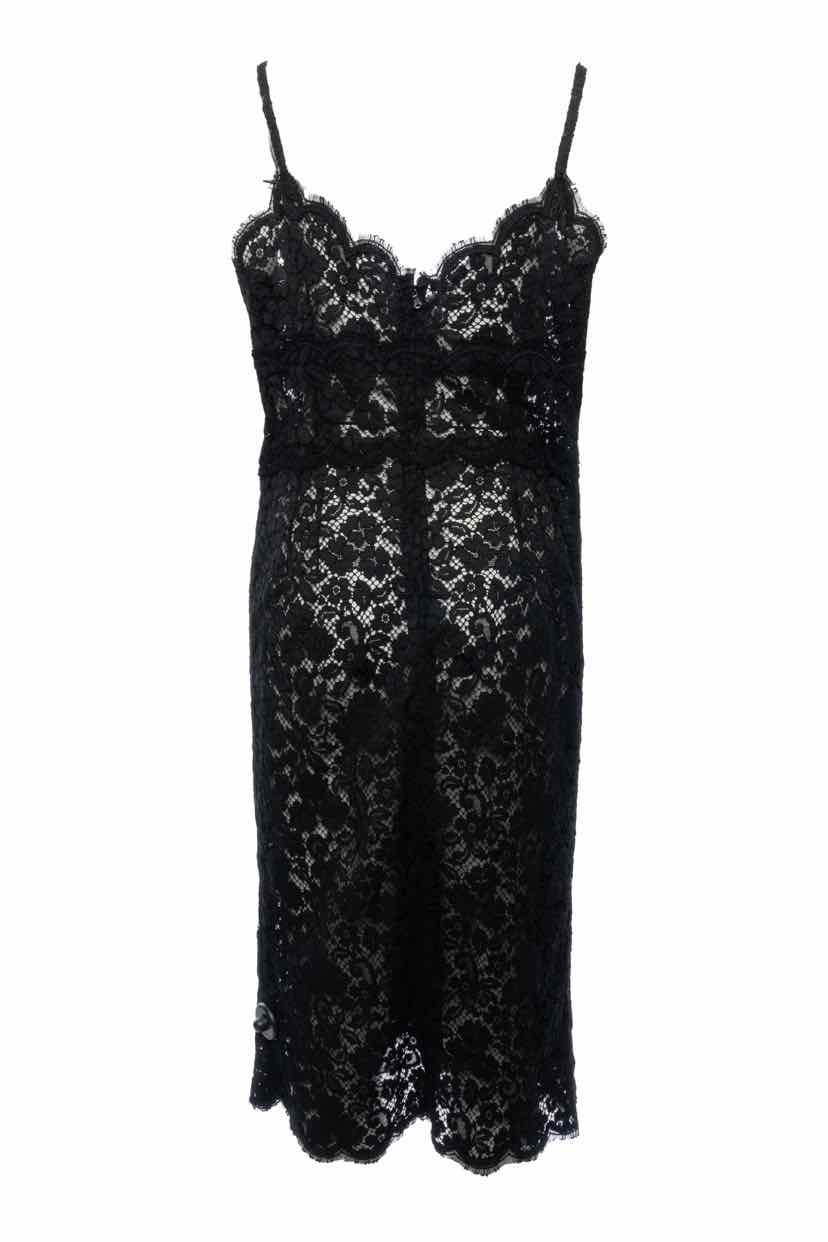 Dolce & Gabbana Size 48 Sheer Lace Midi Dress