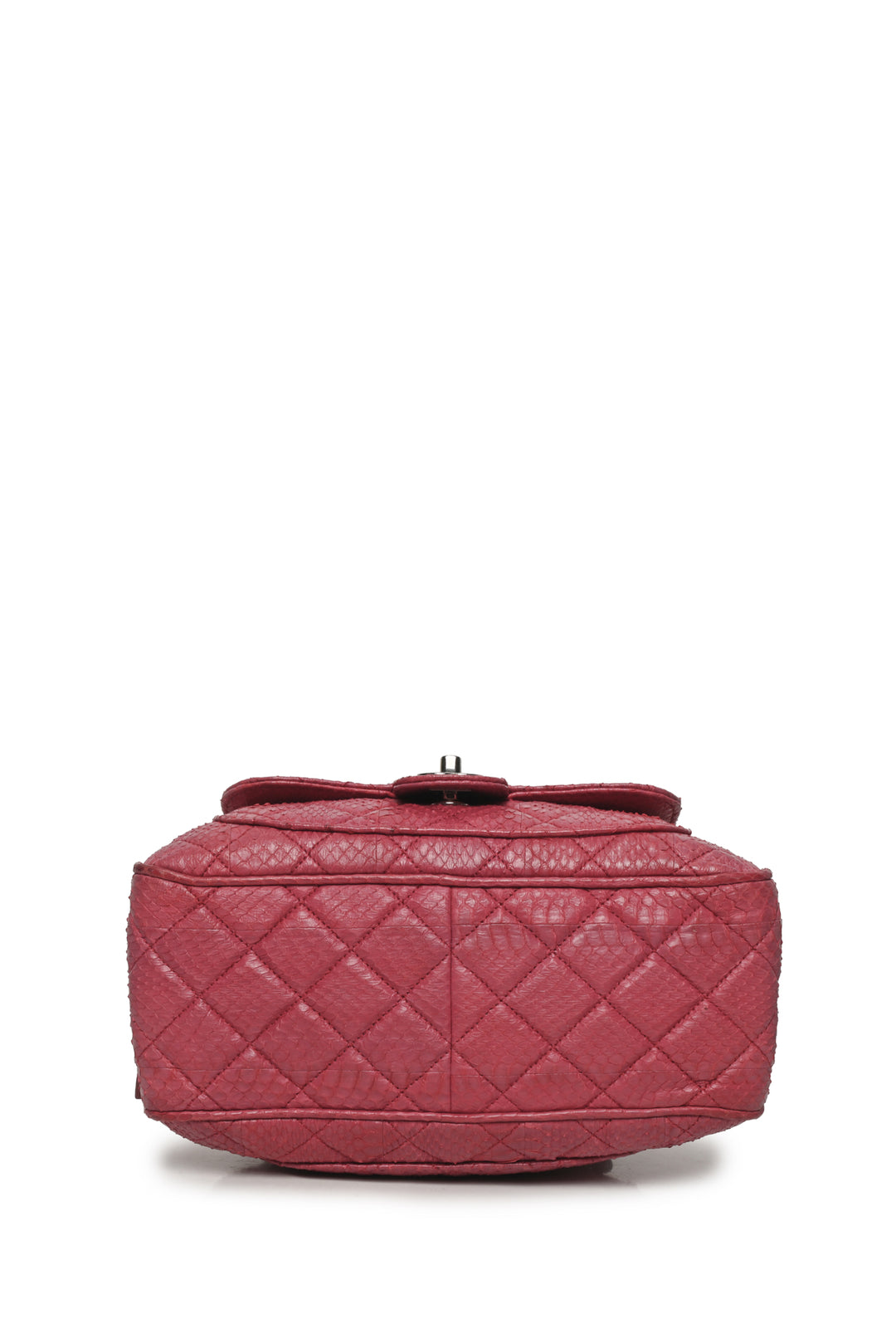 Chanel 2012-2013 Quilted Python Camera Case Shoulder Bag