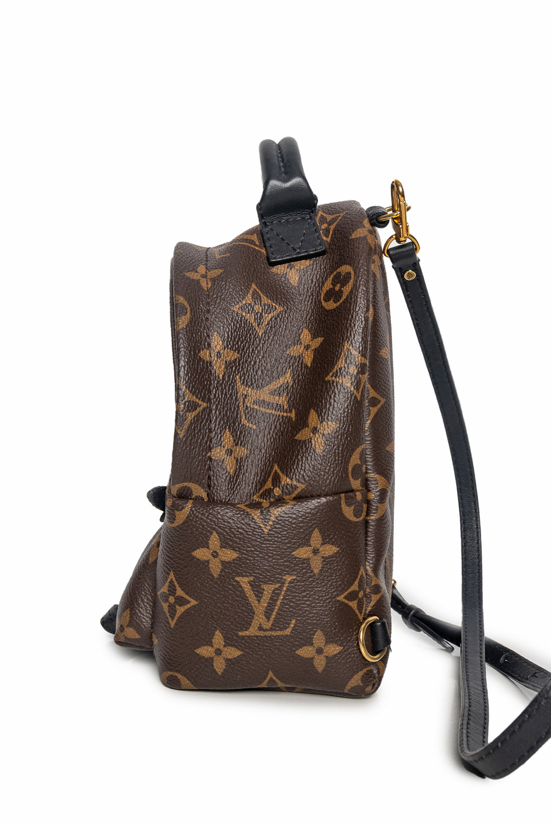 Louis Vuitton Palm Springs Mini BackPack