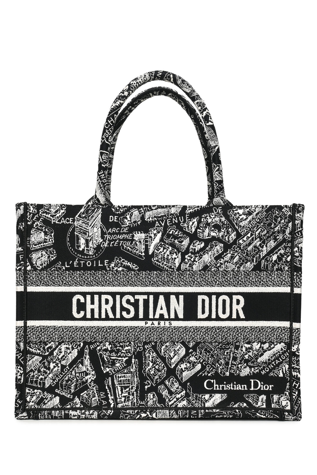 Dior 2022 Medium Plan De Paris Book Tote