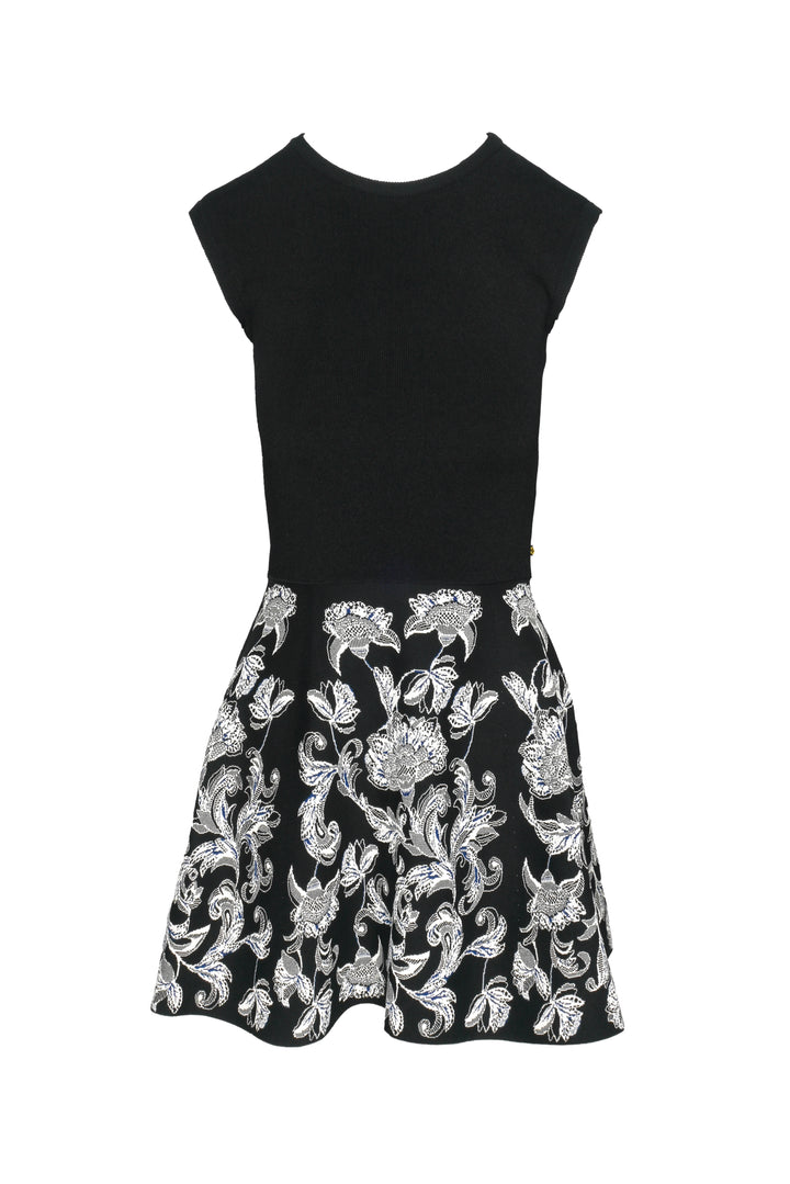 Louis Vuitton Size XS Floral Knit Sleeveless Dress