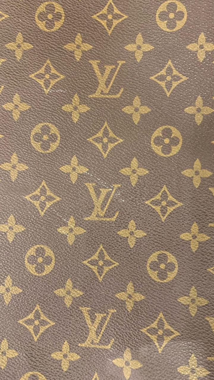 Louis Vuitton Purse