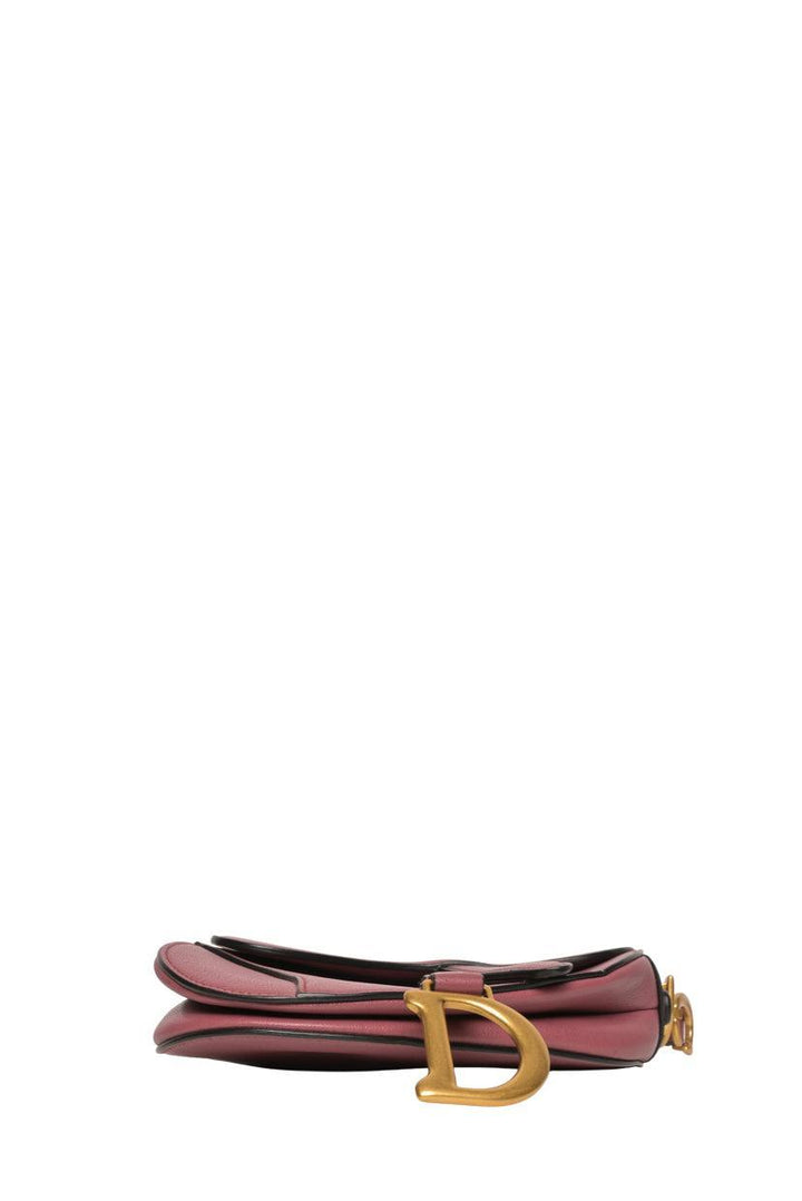 Dior 2020 Calfskin Mini Saddle Bag