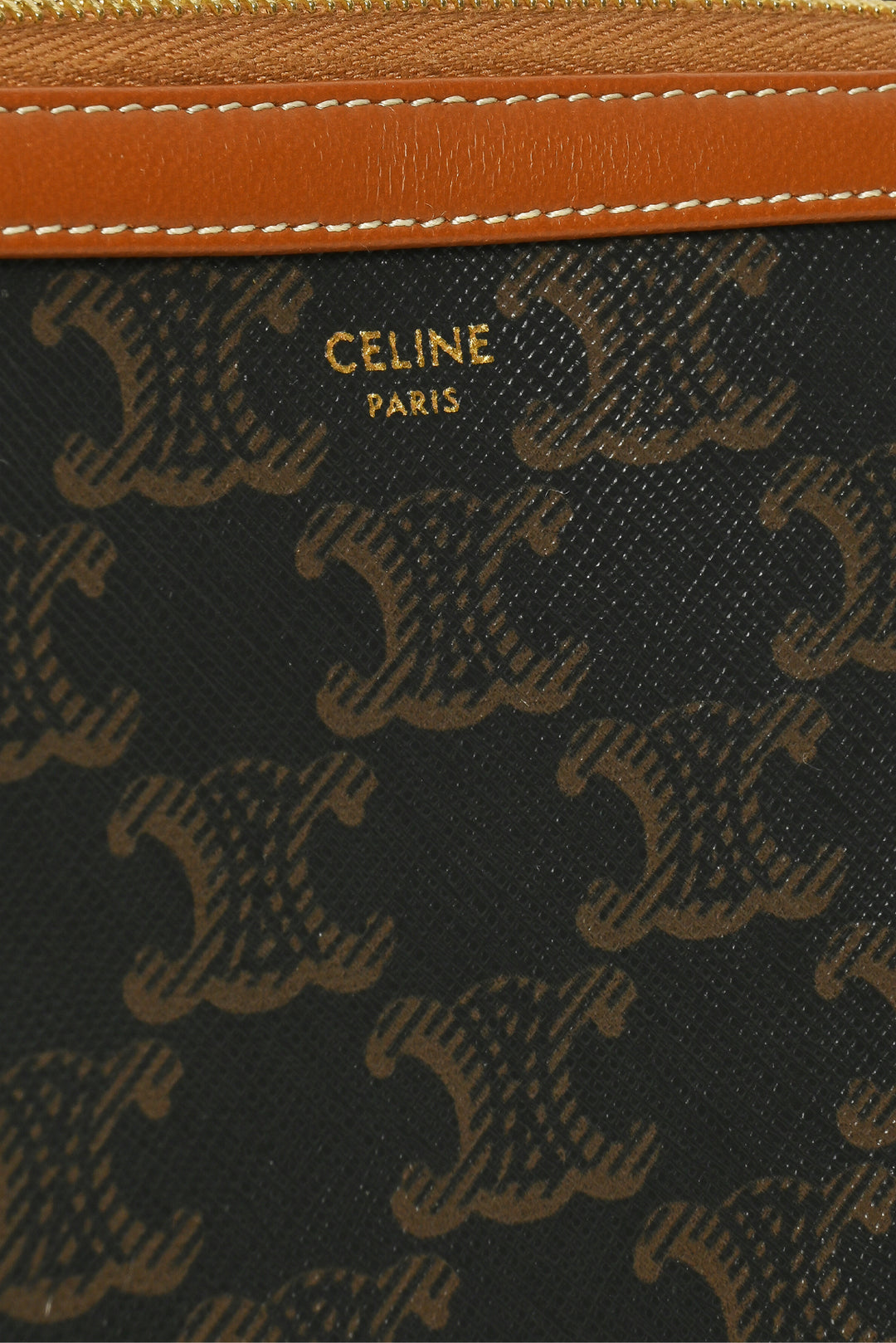 Celine Triomphe Canvas & Lambskin Clutch On Chain Crossbody