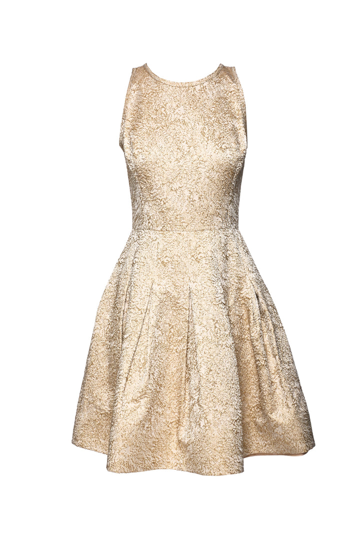Oscar De La Renta Size 4 Metallic Jacquard Sleeveless Dress