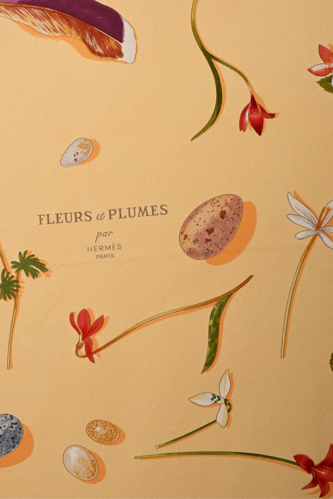 Hermes Fleurs Et Plumes Silk Scarf