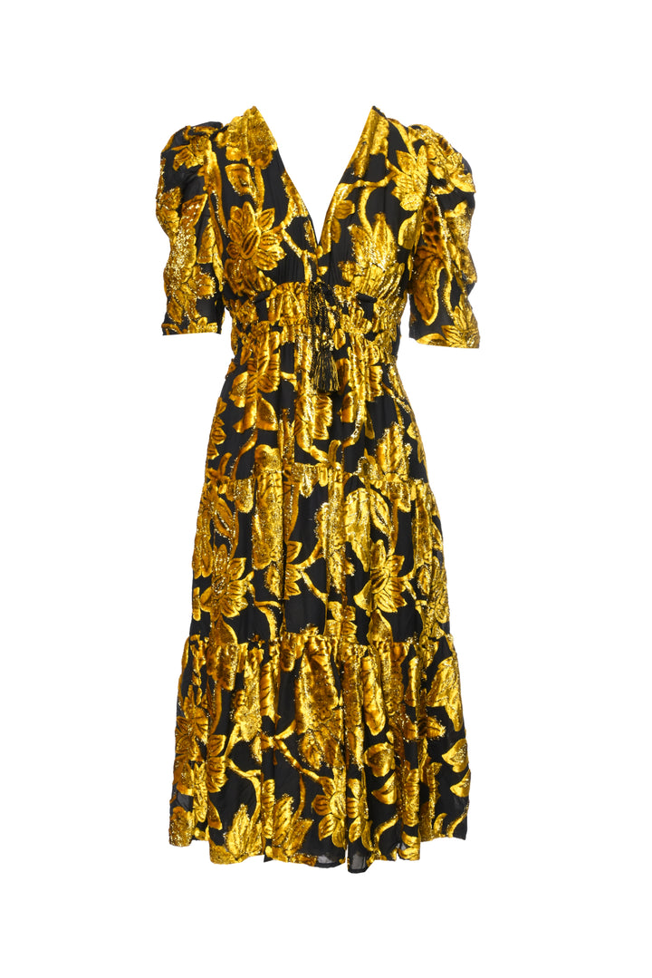 Ulla Johnson Size 8 Velvet Floral Maxi Dress