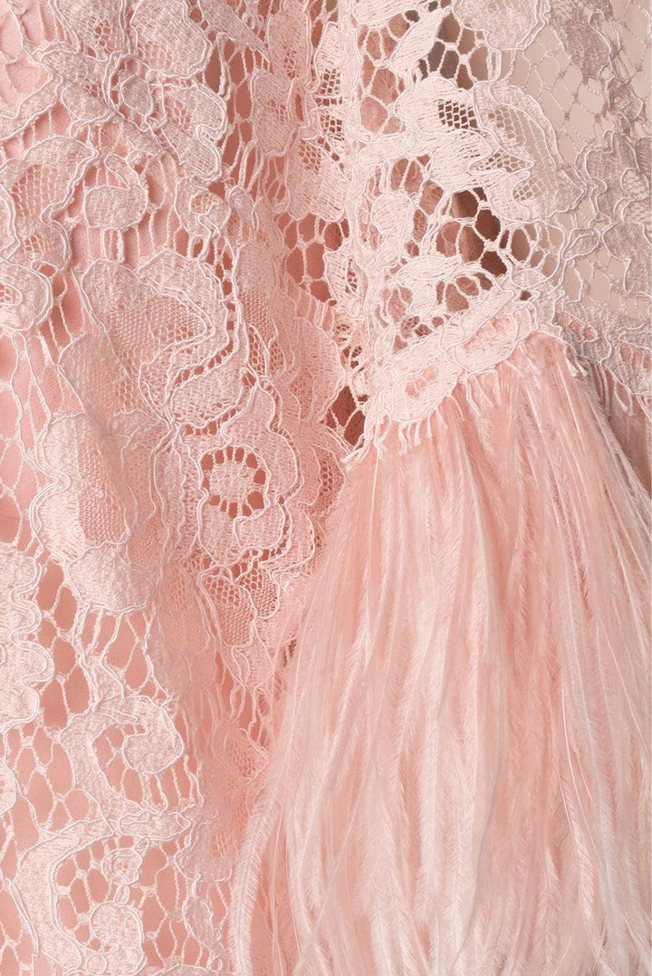 Dolce & Gabbana Size 48 Feather-Embellished Lace Dress