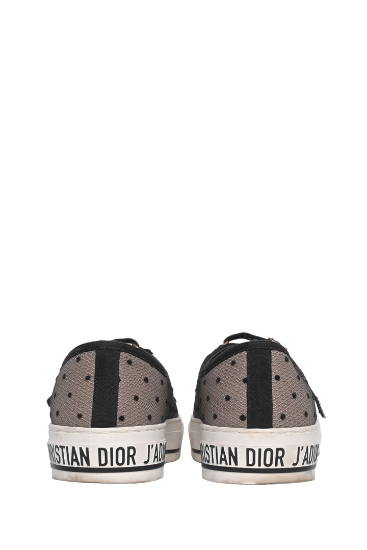 Christian Dior Size 36 Walk N'Dior Sneaker