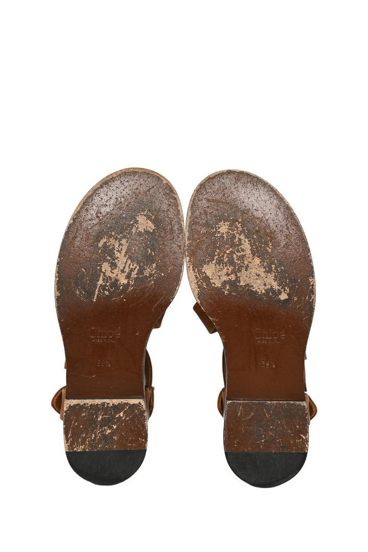Chloe Size 36.5 Strappy Leather Sandals