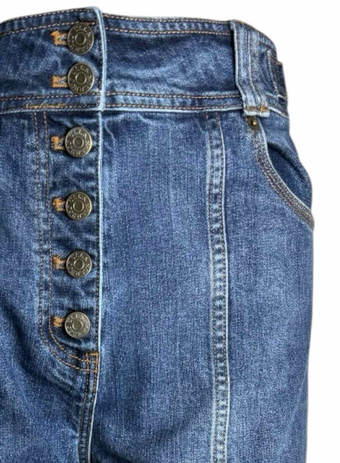 Ulla Johnson Size 4 Exposed Button Fly Jeans