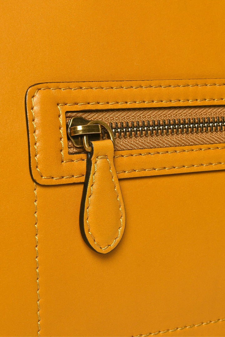 Celine 2013 Two-Tone Calfskin Leather Mini Luggage Tote