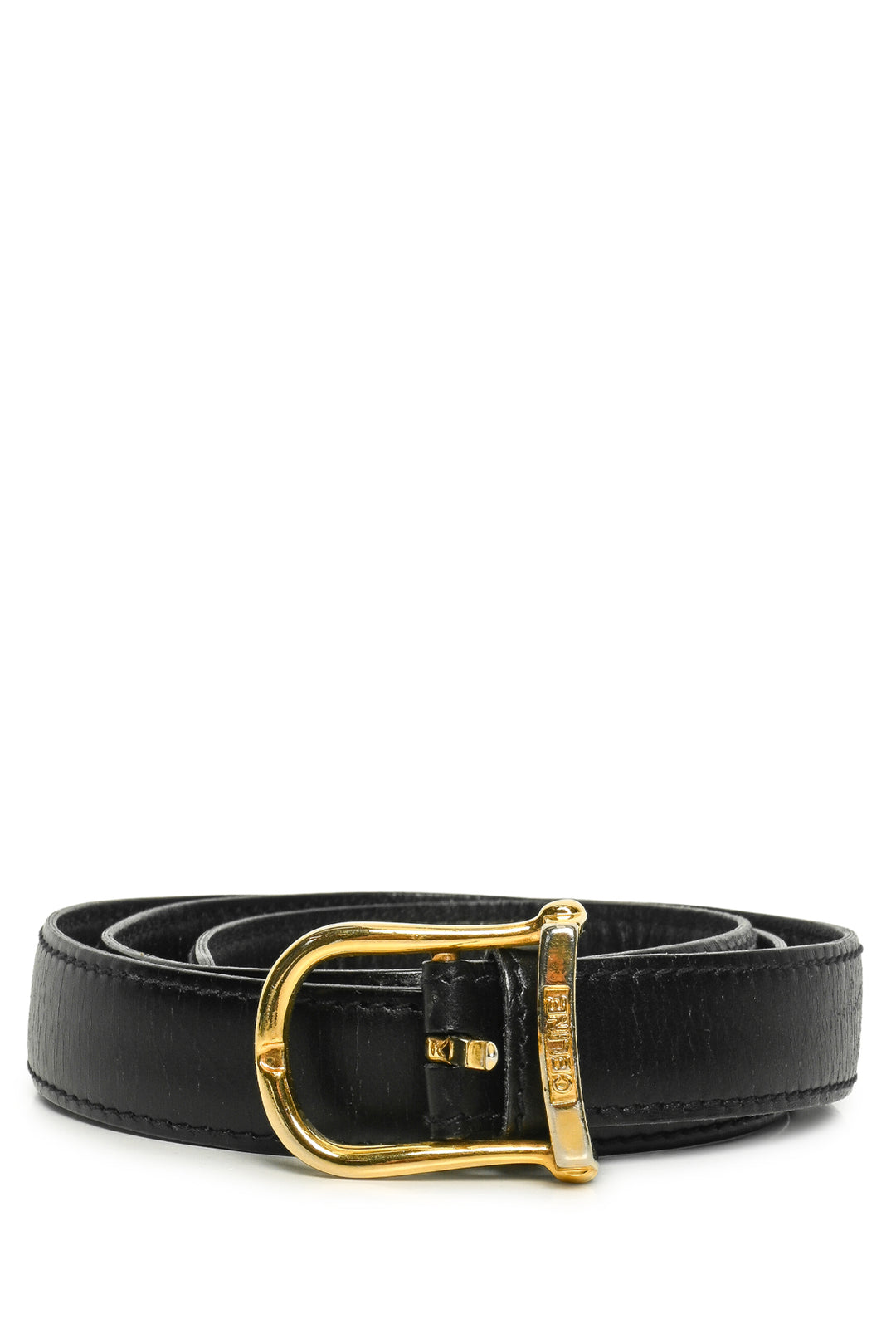 Celine Vintage Triomphe Chain Leather Skinny Belt