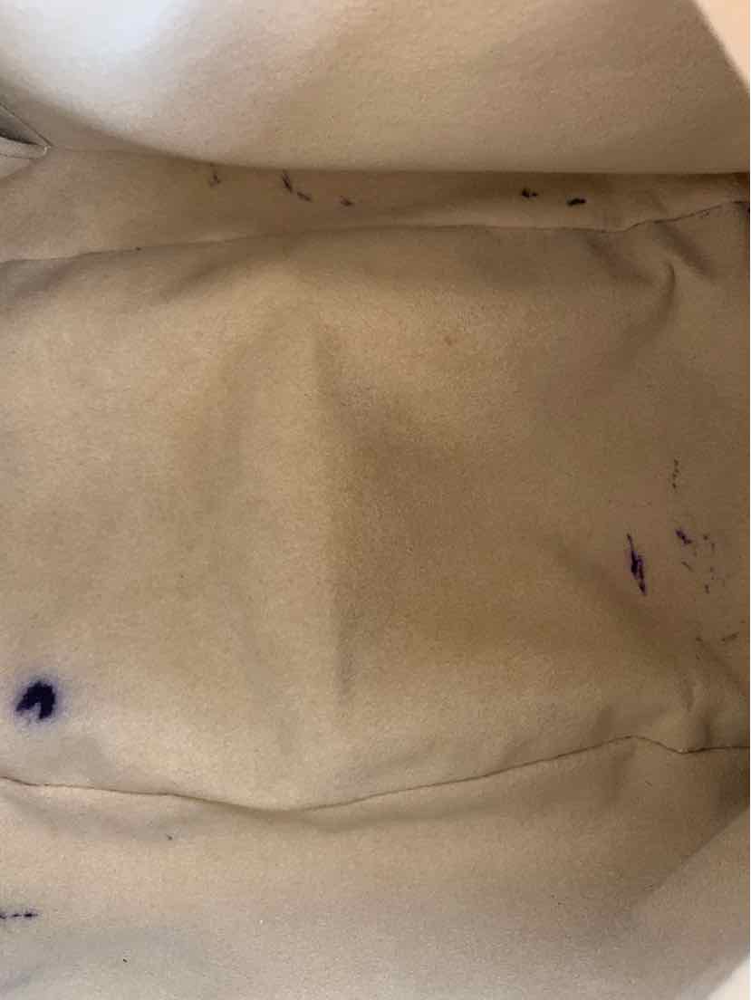 Louis Vuitton  Monogram Etoile City Bag