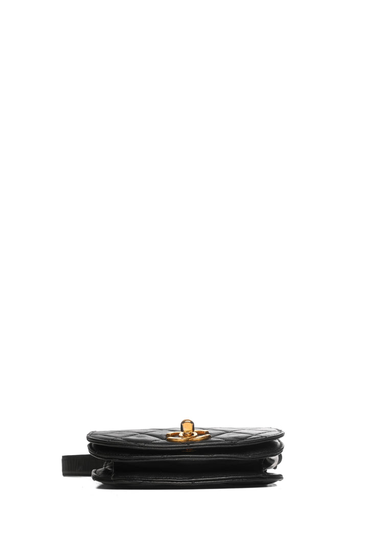 Chanel 1989-1991 Vintage Quilted CC Belt Bag