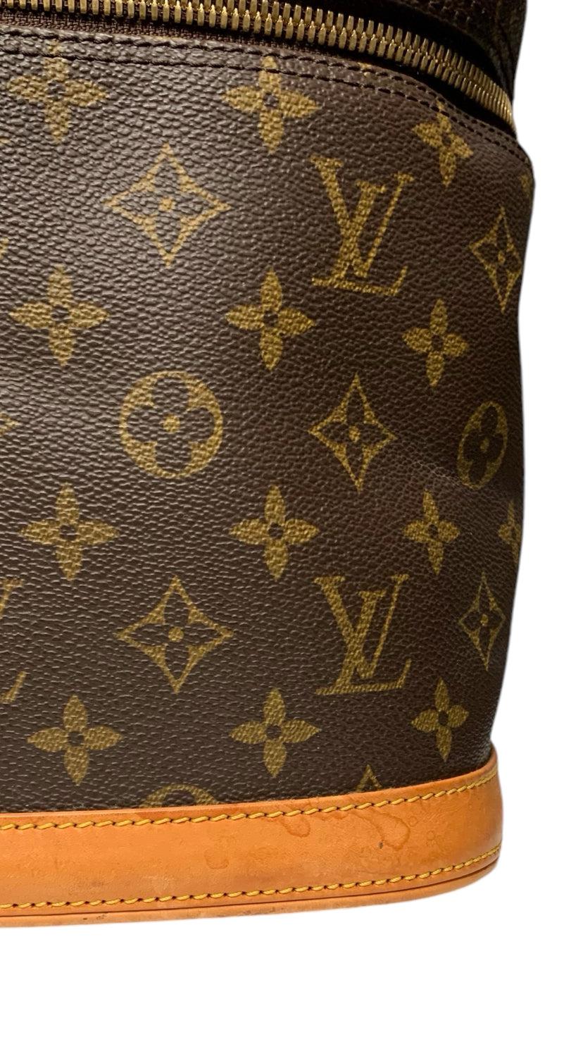 Louis Vuitton Purse