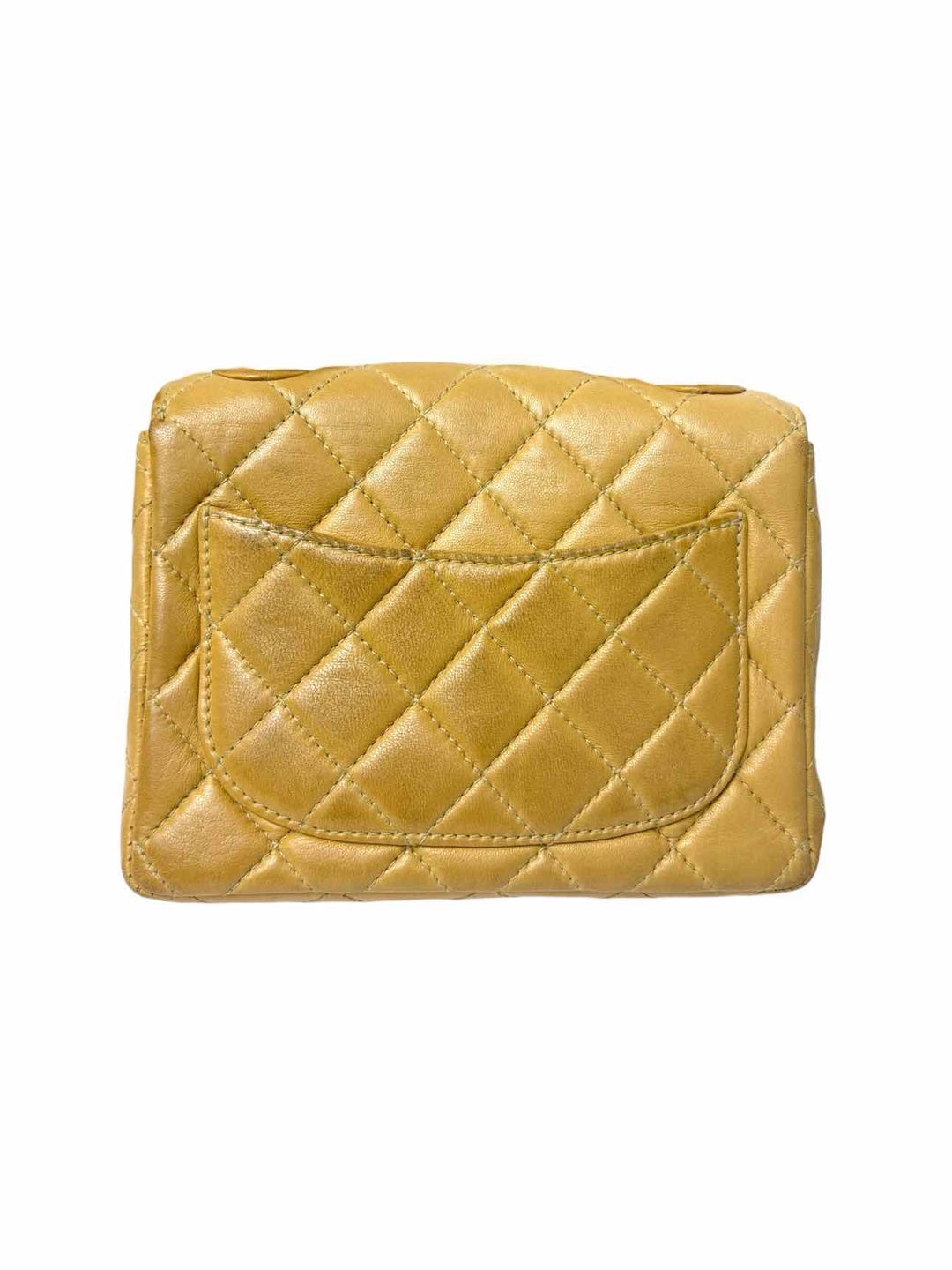 Chanel Small Resin Chain Leather Flap Purse