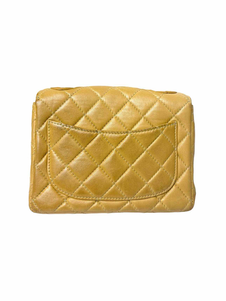 Chanel Small Resin Chain Leather Flap Purse