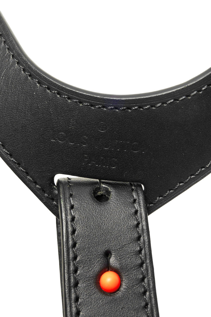 Louis Vuitton 2019 Monogram Canvas & Leather Utility Harness Crossbody Bag