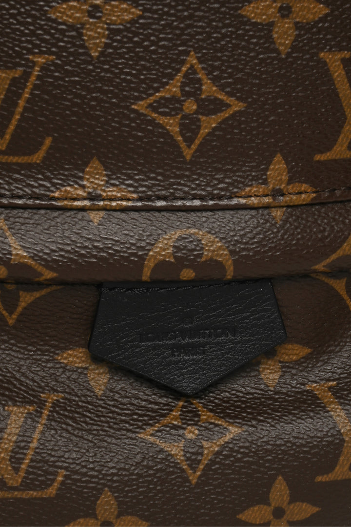 Louis Vuitton 2023 Monogram Canvas & Leather Palm Springs PM BackPack