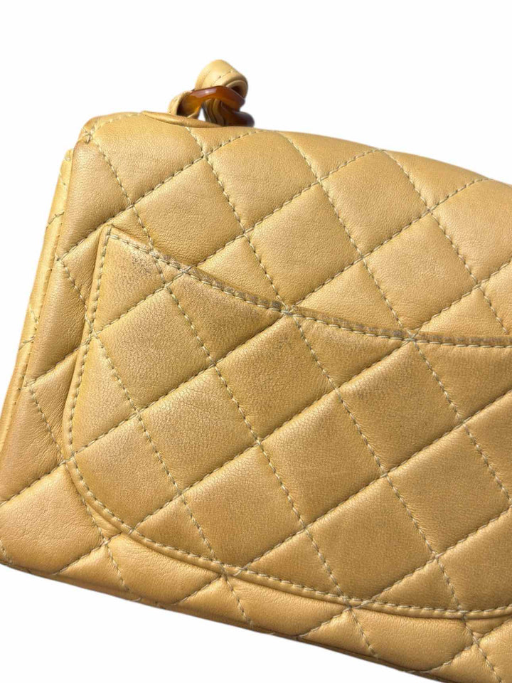 Chanel Small Resin Chain Leather Flap Purse