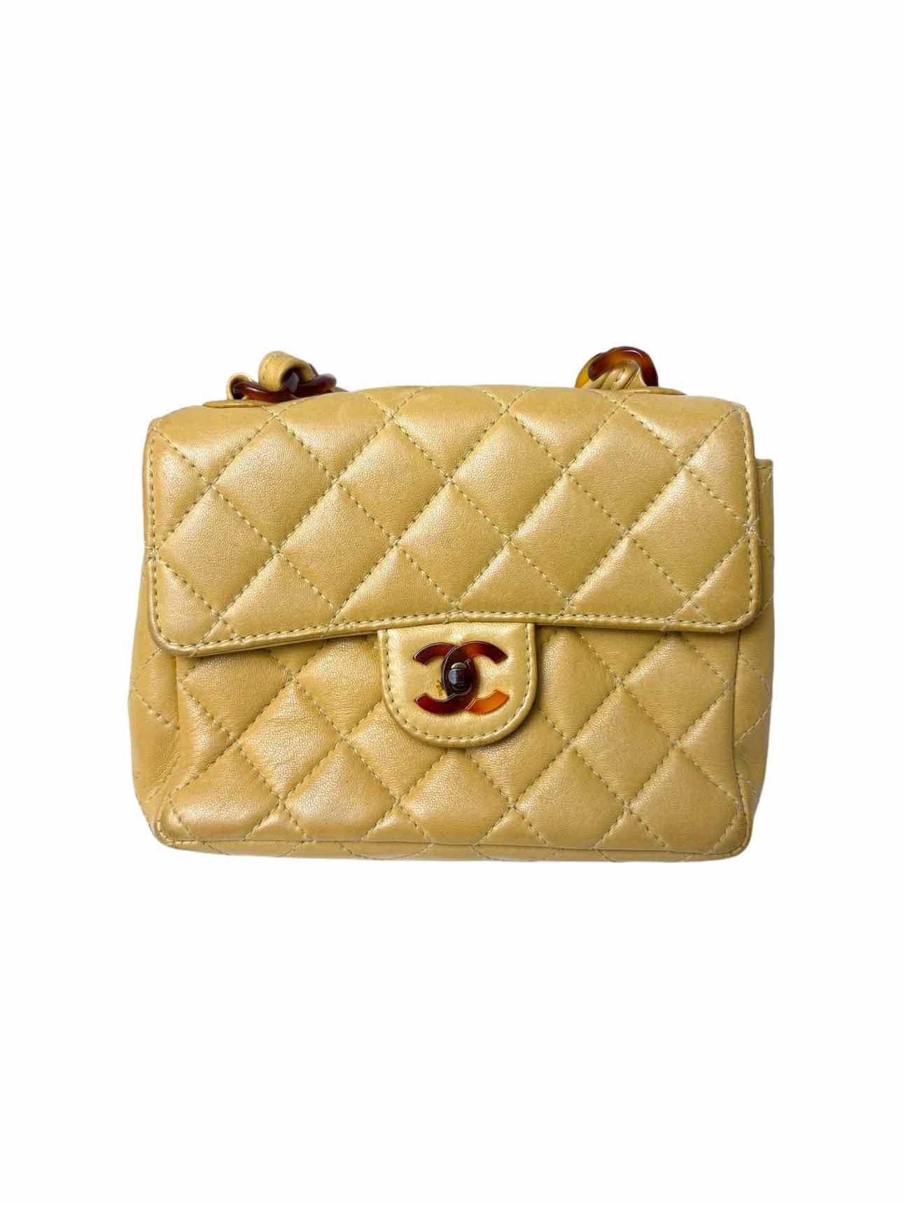 Chanel Small Resin Chain Leather Flap Purse - Luxury Used Designer