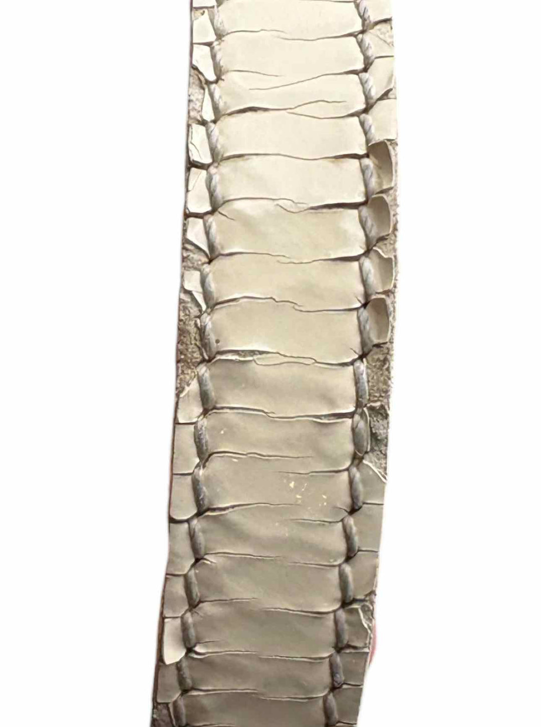 Dior Canvas Trotter Tote Purse