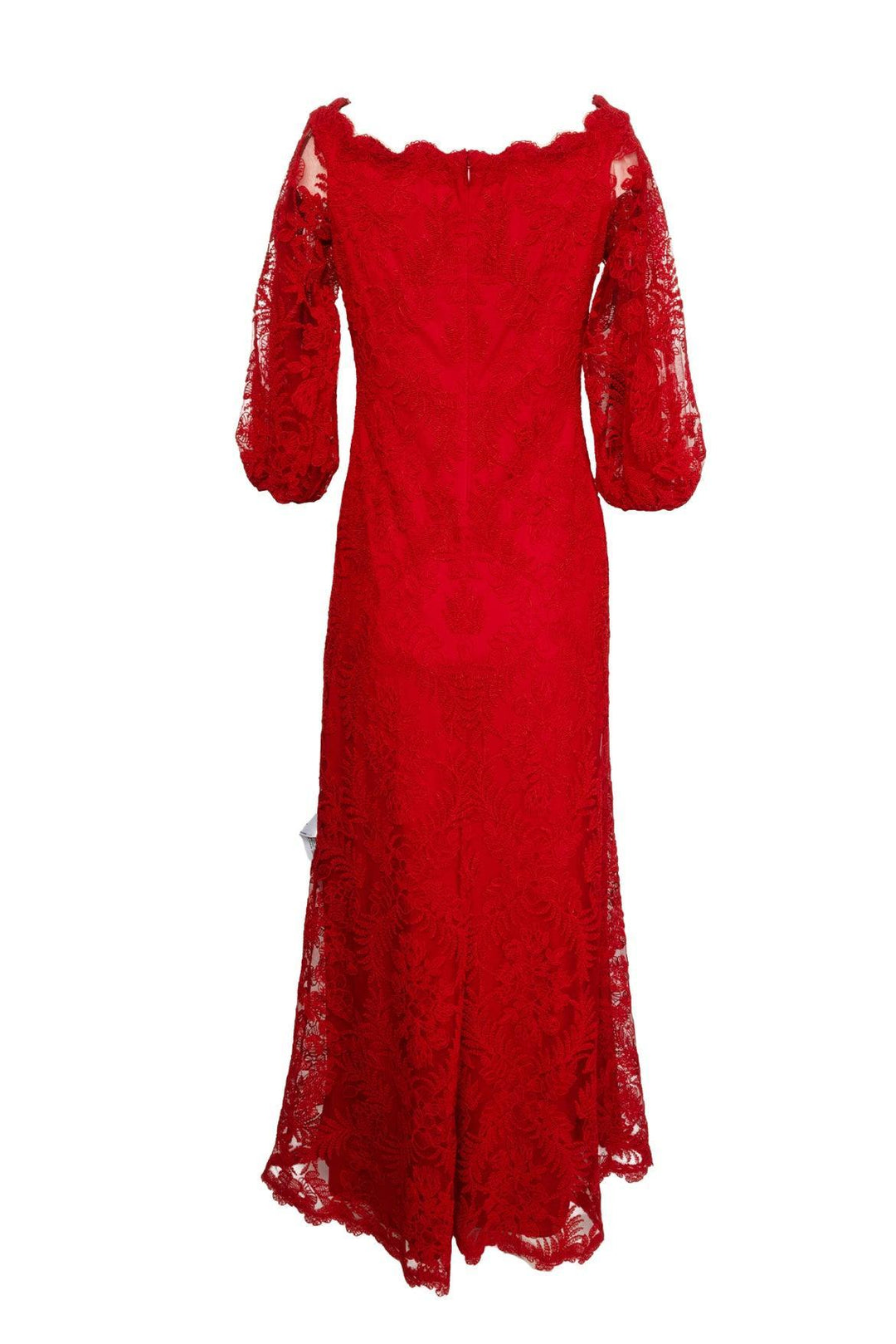 Tadashi Shoji Size 4 Maxi Lace Dress Gown