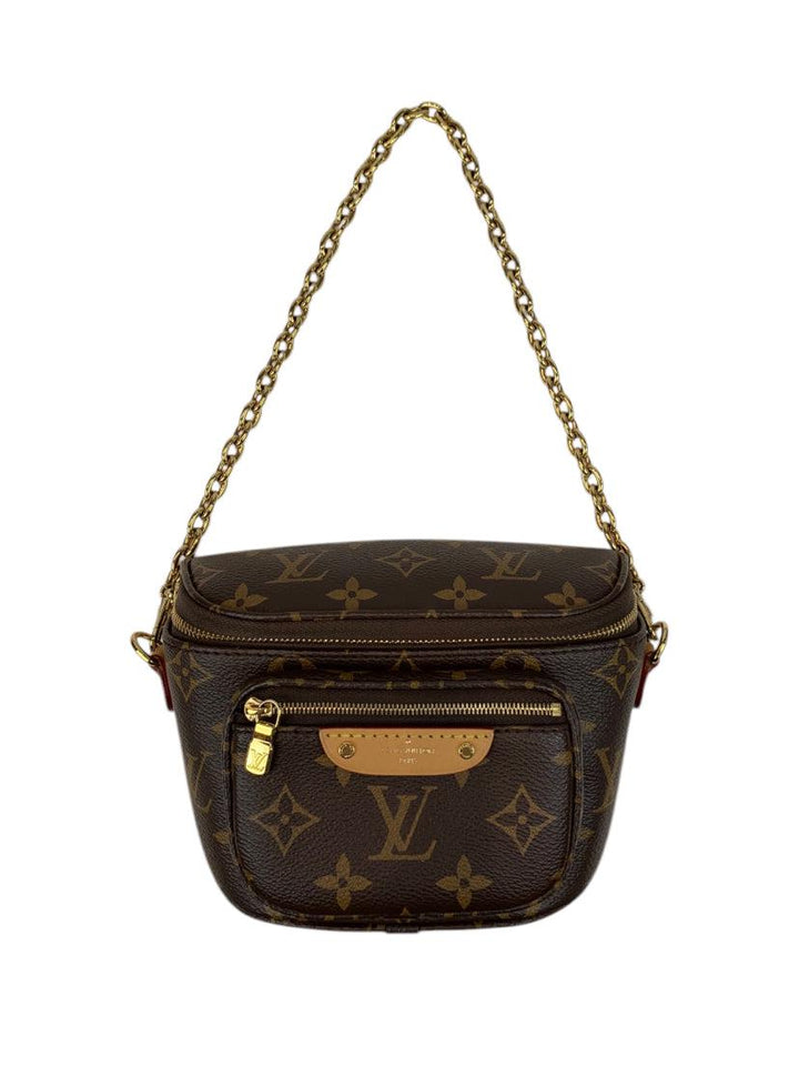 Louis Vuitton 2024 Mini Bum Bag Purse