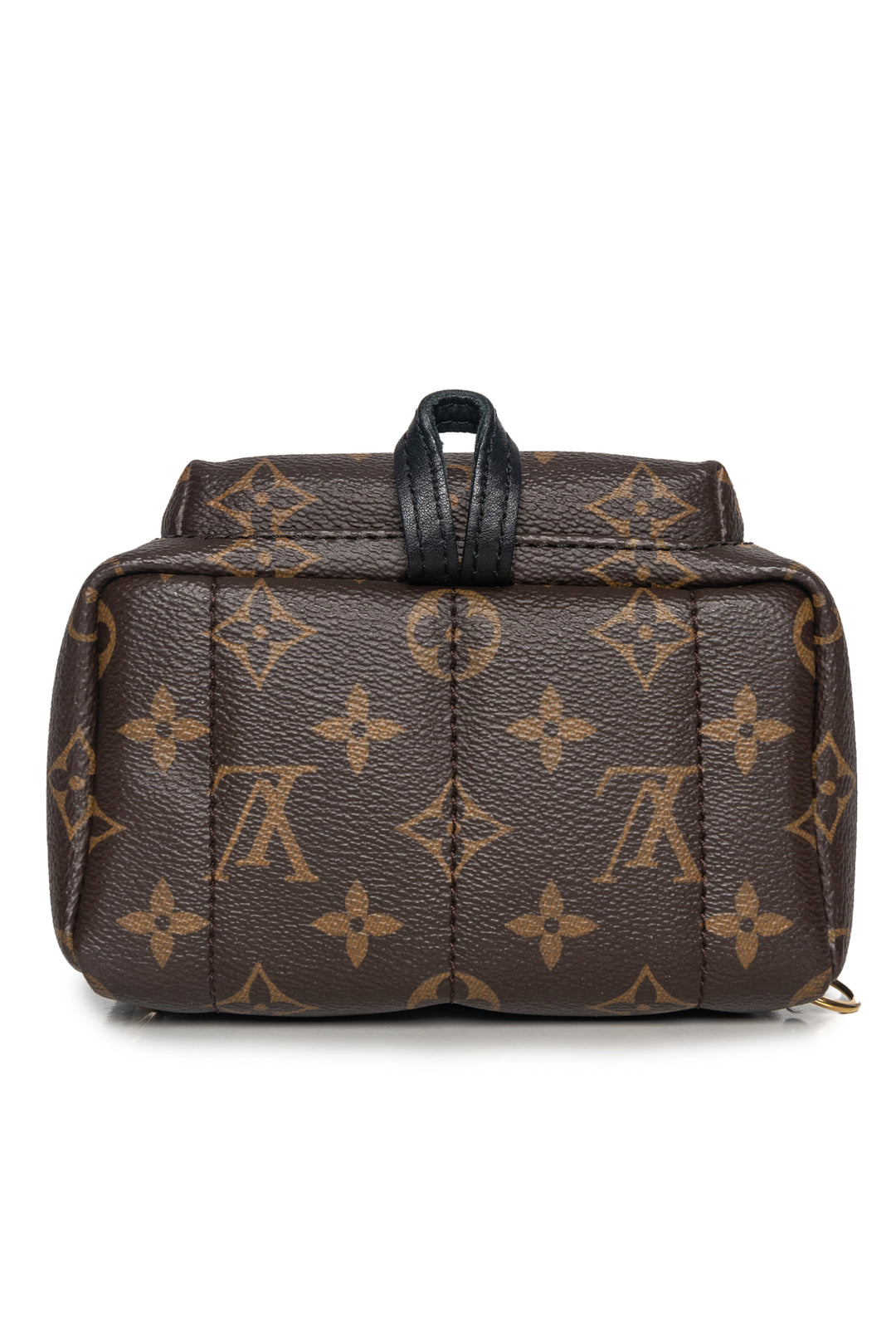 Louis Vuitton Palm Springs Mini BackPack