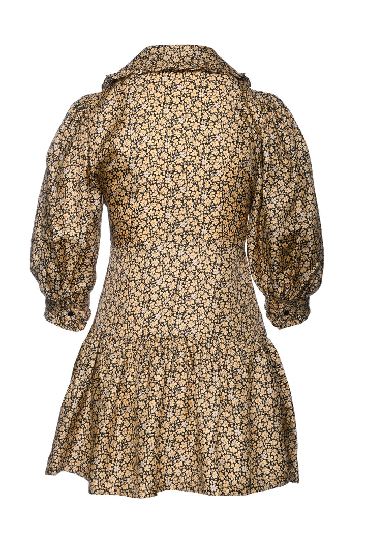 Sandro Size 36 Floral Print Silk Mini  Dress