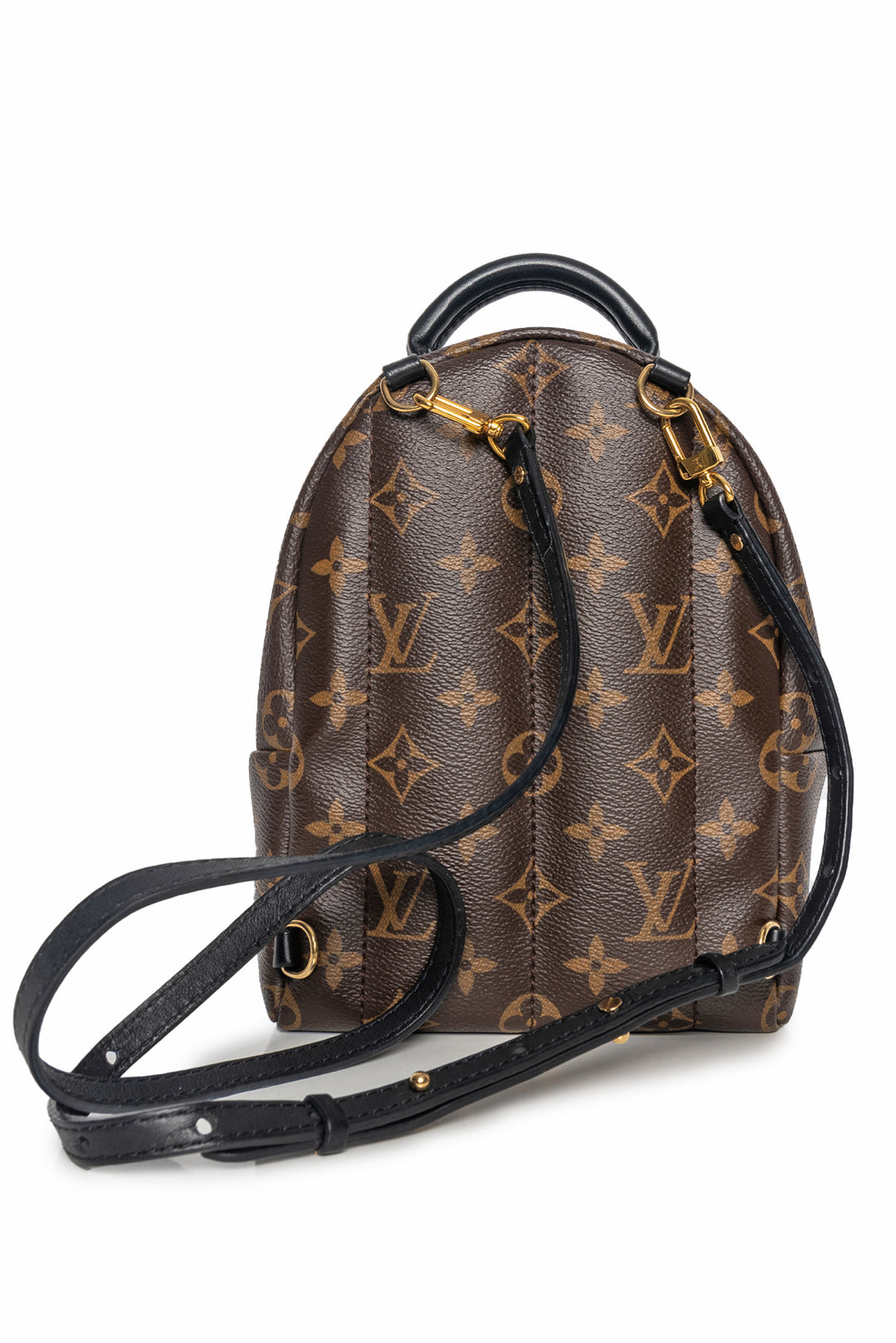 Louis Vuitton Palm Springs Mini BackPack