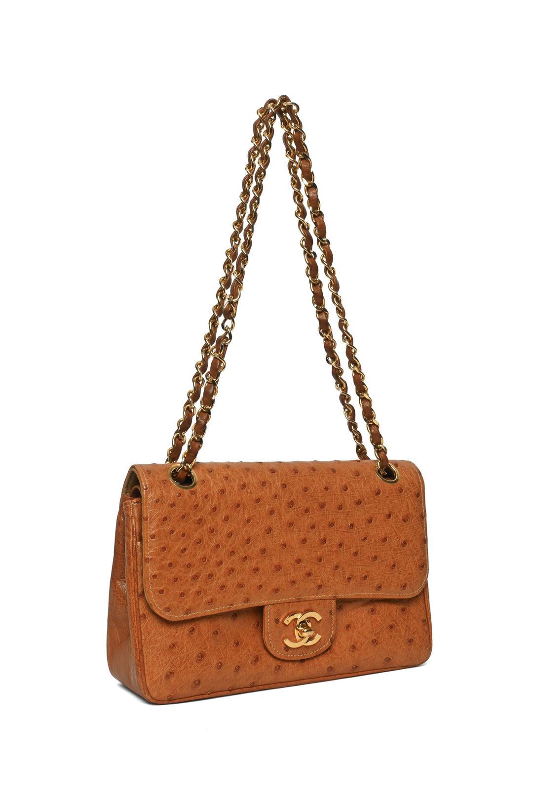 Chanel Rare Vintage 1986-1988 Ostrich Leather Small Double Flap Shoulder Bag