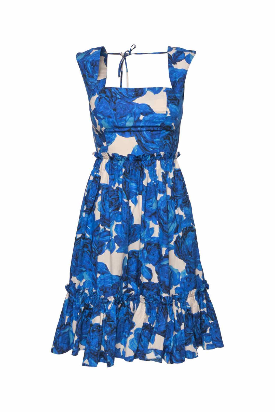 Cara Cara Size 0 Claire Floral Print Dress