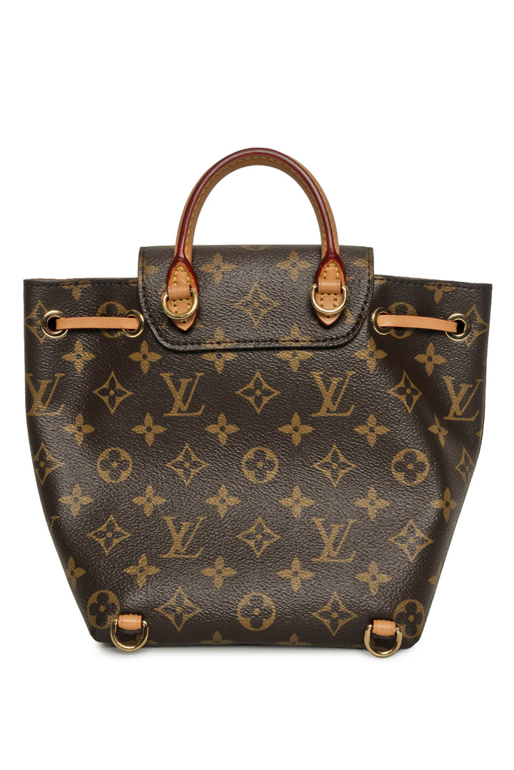 Louis Vuitton 2020 Monogram Montsouris BB BackPack