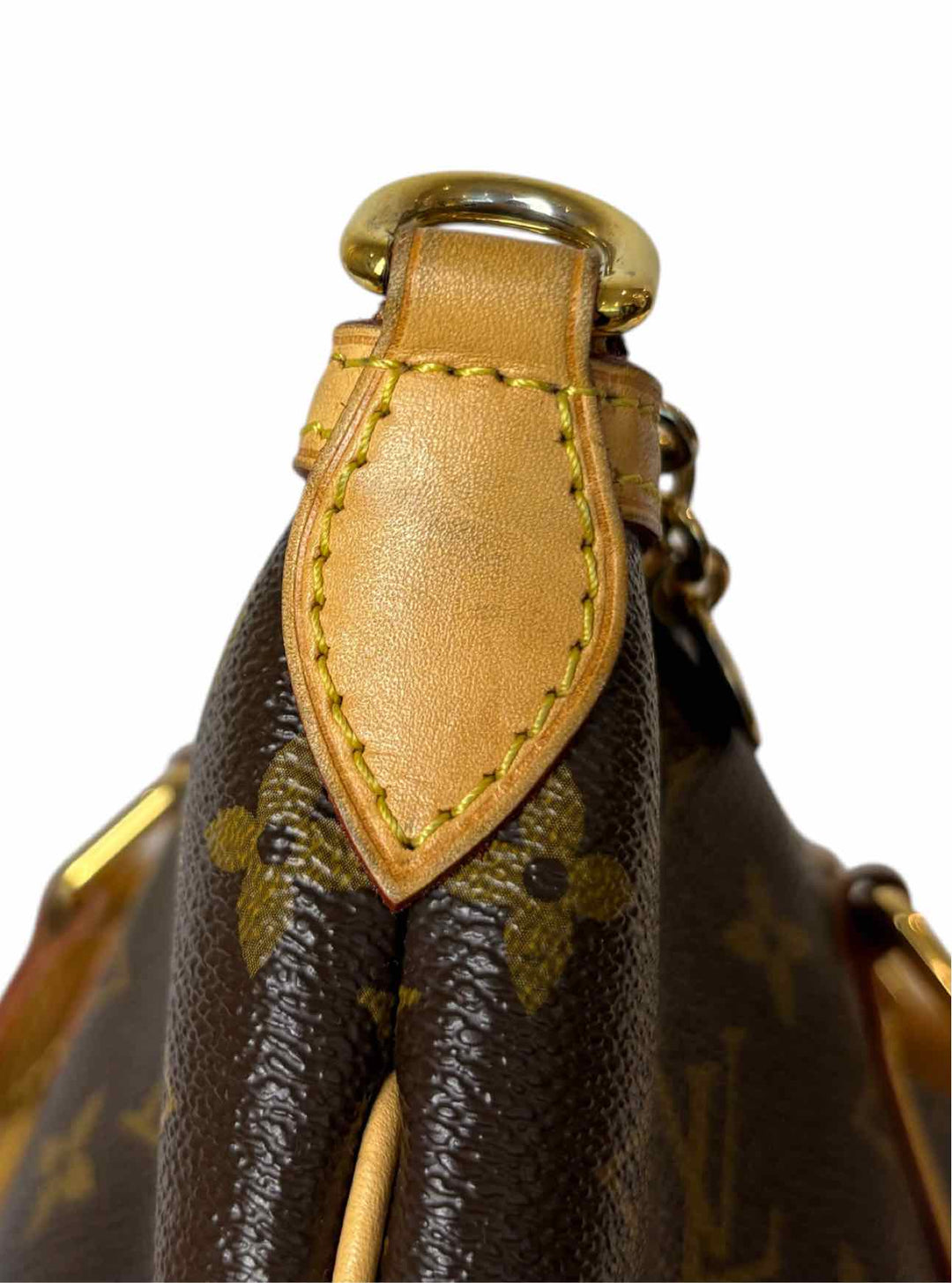 Louis Vuitton Palermo PM Purse