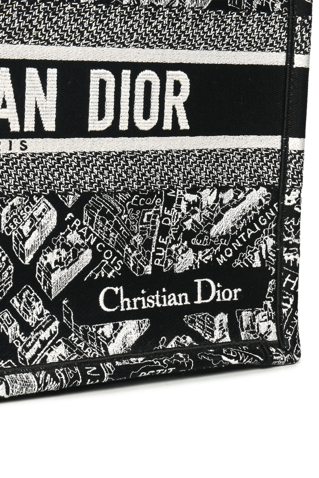 Dior 2022 Medium Plan De Paris Book Tote
