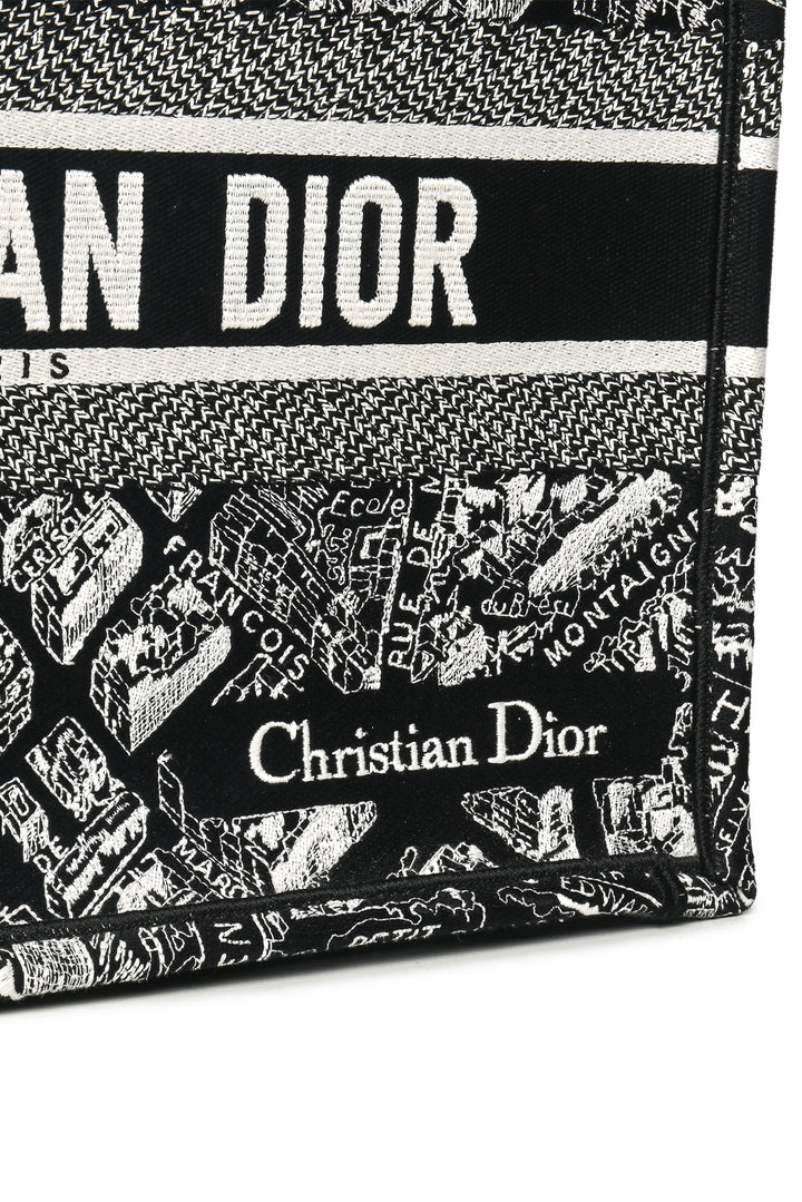 Dior 2022 Medium Plan De Paris Book Tote