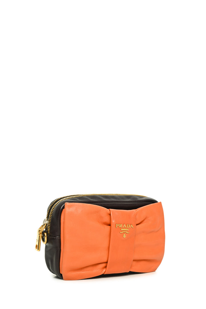 Prada Mixed Metal Fiocco Ribbon Camera Bag