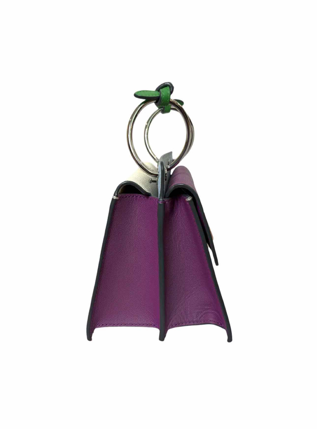 Danse Lente Phoebe Bis Leather Crossbody Purse