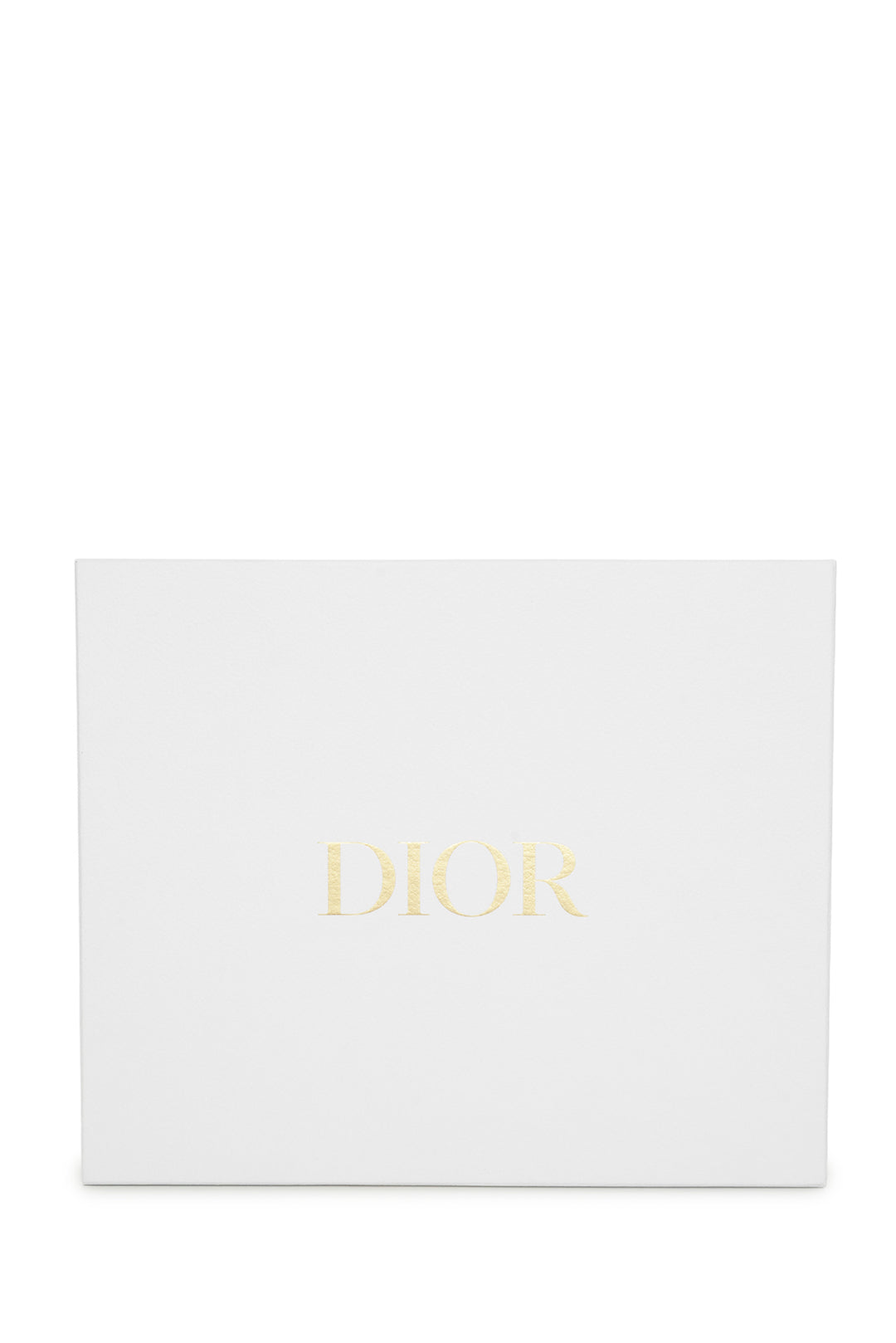 Dior 2020 Saddle Shoulder Bag