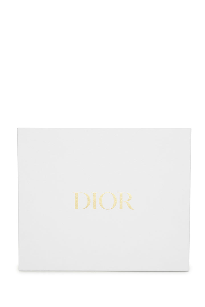 Dior 2020 Saddle Shoulder Bag